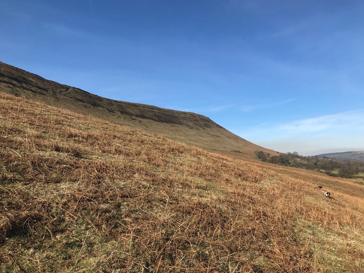 nglowton's tweet photo. There must be worse views to have on a gentle morning stroll on one’s day off #AVicarsLife #happyspringer https://t.co/OdH7GCwT3T