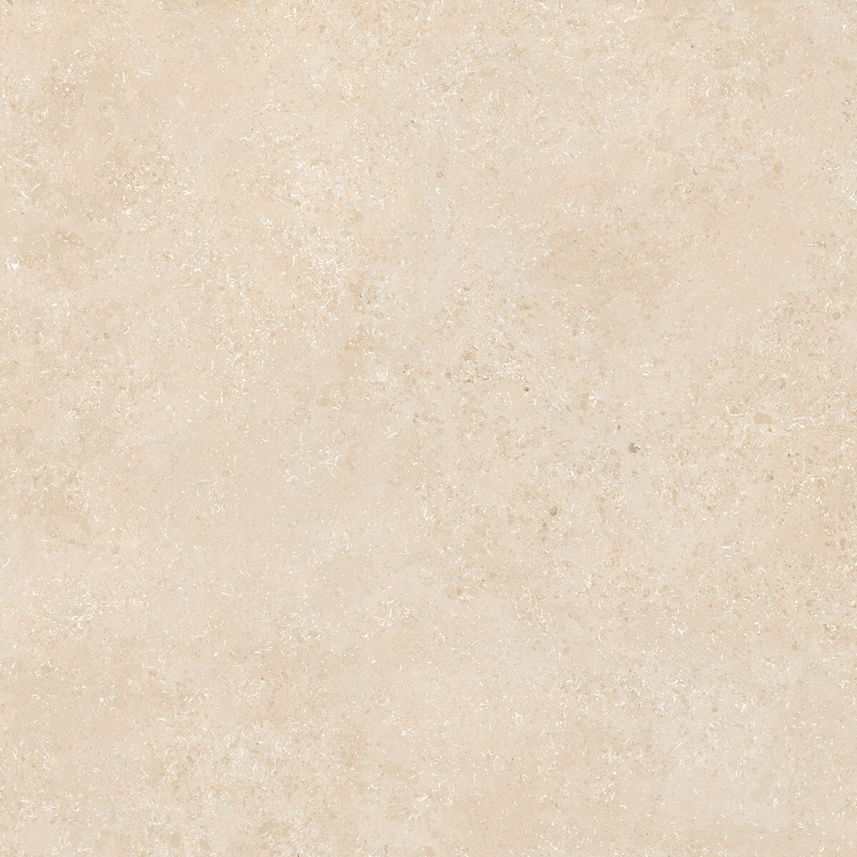 Brickability Cardiff tweet media