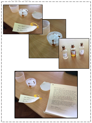ParklandSch's tweet image. This morning, Year 4 made a startling discovery! 
Delivered by Hedwig straight from Hogwarts - bottles of potion for us to explore 🧙‍♂️@DSATScience #Cornerstones #Potions #SolidLiquidGas #StatesofMatter