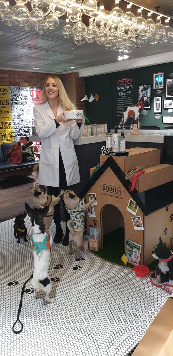 PetsPyjamas's tweet photo. Thank you so much to @KiehlsUKI for inviting us to your doggy fair this weekend! We had a fabulous day - can't wait for the next time! 🐾🐶
.
.
.
#londondogs #kiehls #petfriendly #petspyjamas #pettraveller #dogfriendly https://t.co/xoMy7jtJaL