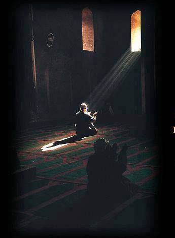 Bouteflikov™ tweet media