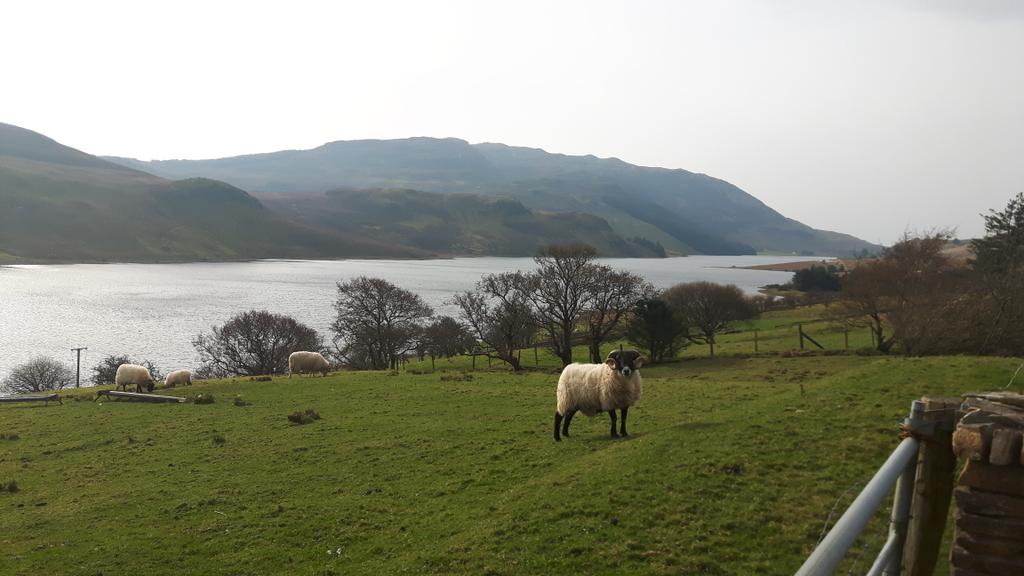 IvanMaxwellNI's tweet photo. @WeatherCee @deric_hartigan #helloewe #SpinghasSprung #Fintown #Donegal #100daysofwalking https://t.co/0d8YFzL3i1