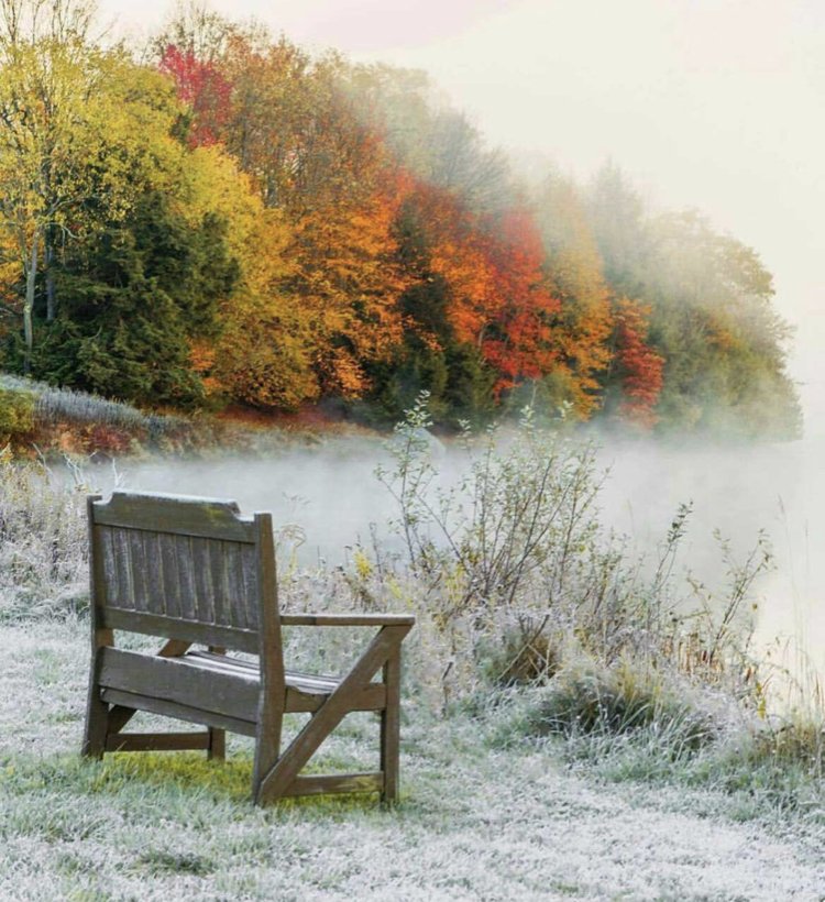 السعاده لا ترحل .. إنما هي تقرع أبواب قلوبنا كل يوم وتنتظر منا فتحه بـِ ابتسامة إراده وصبر وتوكل على الله