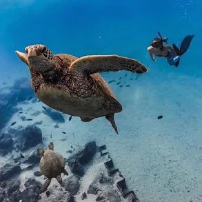 TuNguyn54216127's tweet photo. #nicesea https://t.co/9yUb47VoFV
