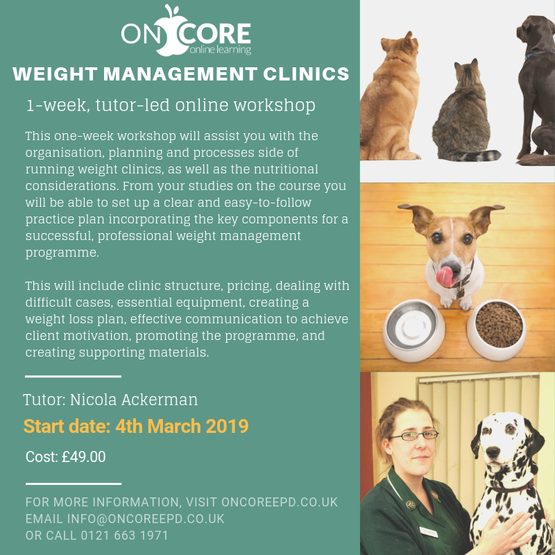 ONCOREePD's tweet photo. As a profession, VNs have to be giving the best evidenced, most up to date advice, create great relationships with clients, and charge fairly for their services. This is at the core of what we do at ONCORE! Our weight management workshop is a great example of this. https://t.co/VAgDzjpoXW