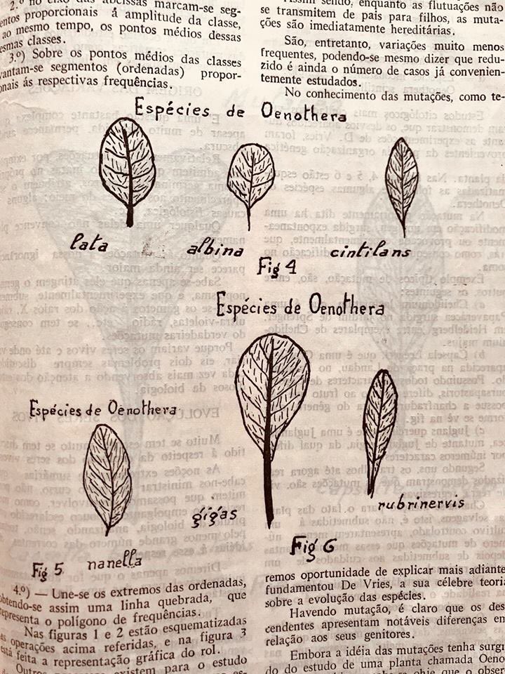 biologicosp's tweet photo. #publicaçãodasemana
“A lavoura” é a revista mais antiga do agronegócio, publicada desde 1897. A coleção da biblioteca se inicia em 1923 e vai até 1990. Quer consultar este e outros materiais? Visite nossa biblioteca, aberta às terças, quartas e quintas-feiras, das 8h às 17h. https://t.co/B46NvbCYlr