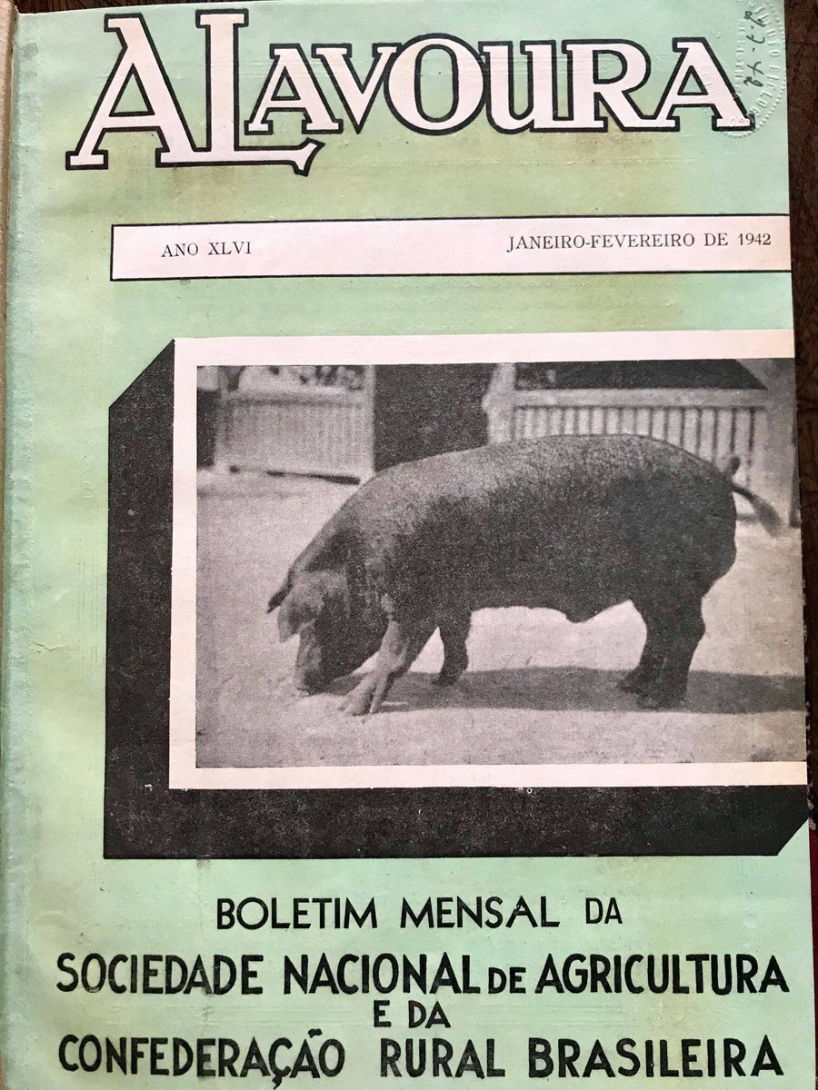 #publicaçãodasemana
“A lavoura” é a revista mais antiga do agronegócio, publicada desde 1897. A coleção da biblioteca se inicia em 1923 e vai até 1990. Quer consultar este e outros materiais? Visite nossa biblioteca, aberta às terças, quartas e quintas-feiras, das 8h às 17h.