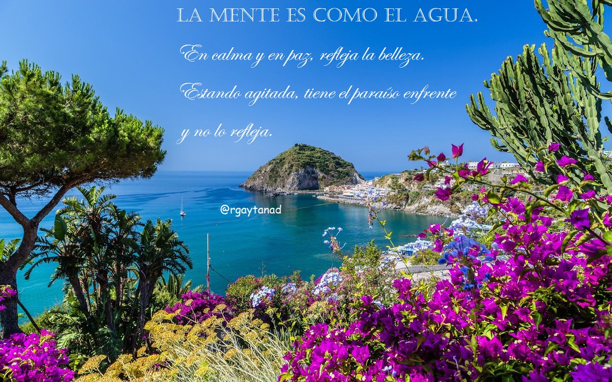 rgaytanad's tweet photo. La mente es como el agua. 
En calma y en paz, refleja la belleza. 
Estando agitada, tiene el paraíso enfrente y no lo refleja.
#FelizLunes https://t.co/RpfsRuQUnB
