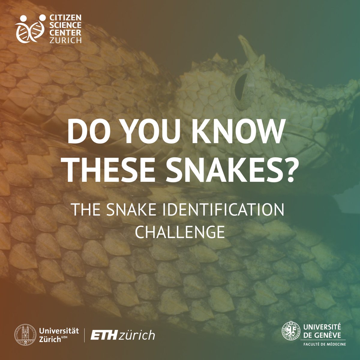 Andrew Durso tweet media