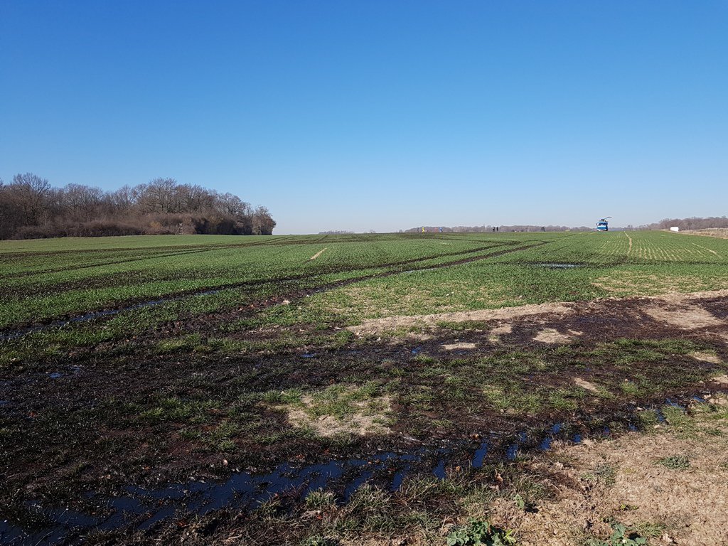 Prefet78's tweet photo. #Yvelines fuite d'hydrocarbure localisée lundi 25 février 2019 sur le pipeline d'Ile-de-France @Total à hauteur d'Autouillet/Boissy-sans-Avoir. 4 à 7 ha de champs + rûs touchés 
Intervention des @pompiers78 en cours
Le Directeur de Cabinet est sur place 
👉https://t.co/iNRVgqI6Dv https://t.co/77X77iDAad