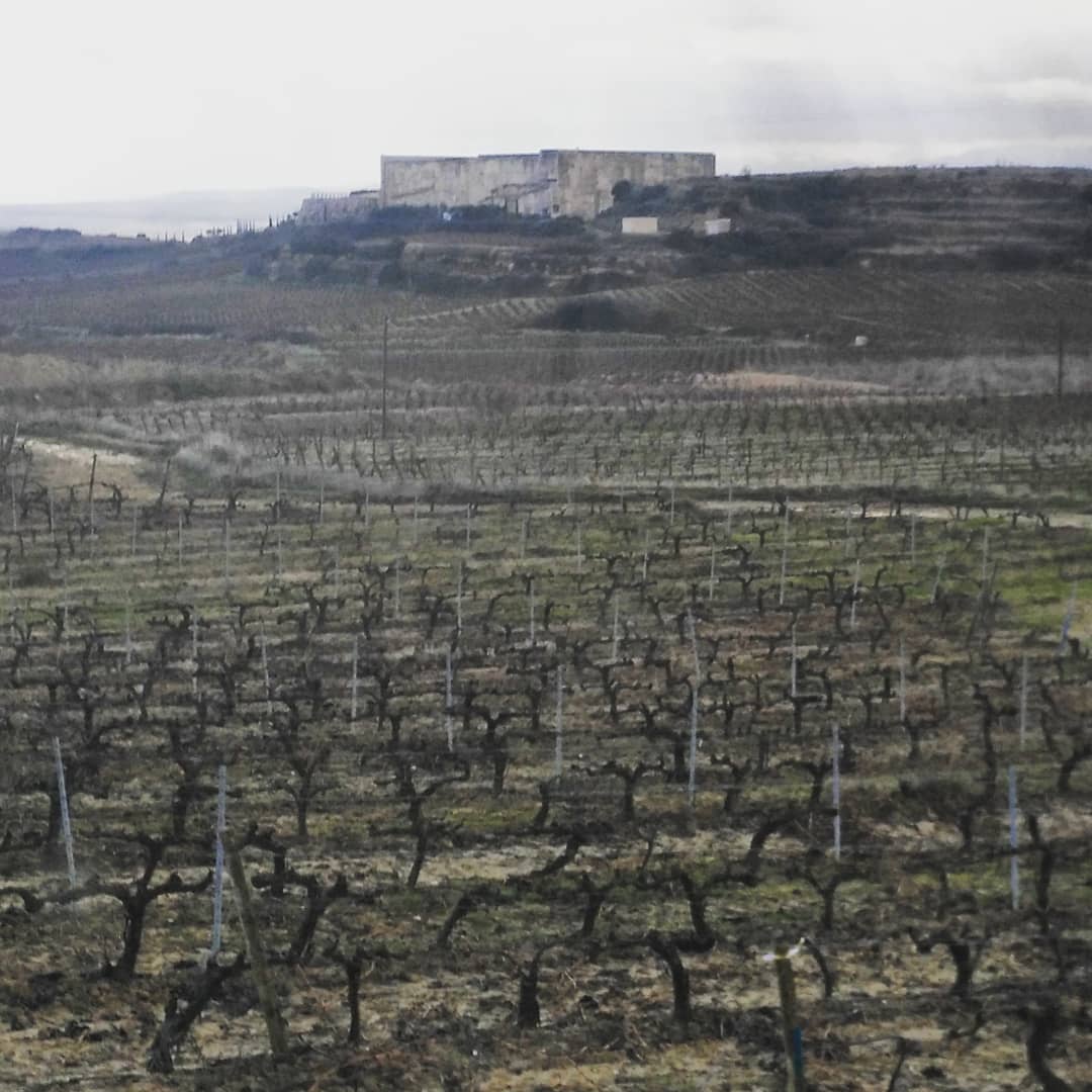 Vista desde la carretera que lleva a Nuestra Señora de Remelluri y a Rivas de Tereso. Al fondo la bodegs Soto de Torres de Labastida <> #fotografia  #photografy  #wine  #winepassion  #winerylovers  #wineinsta  #winephotography