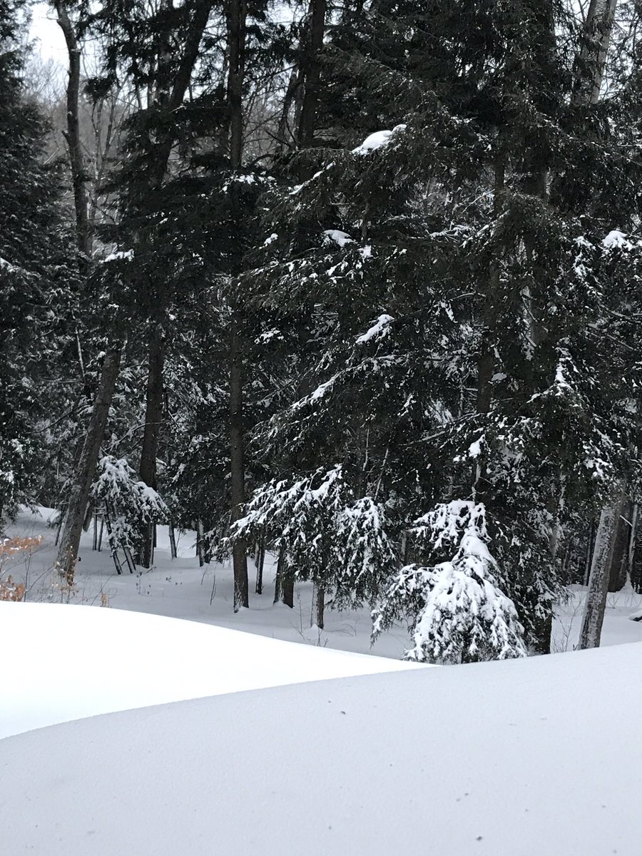 SleepingBearNPS's tweet photo. The  visitor center in Empire is closed Monday, February 25th, due to the weather and road conditions. Stay safe! https://t.co/hHR7ELT4rt