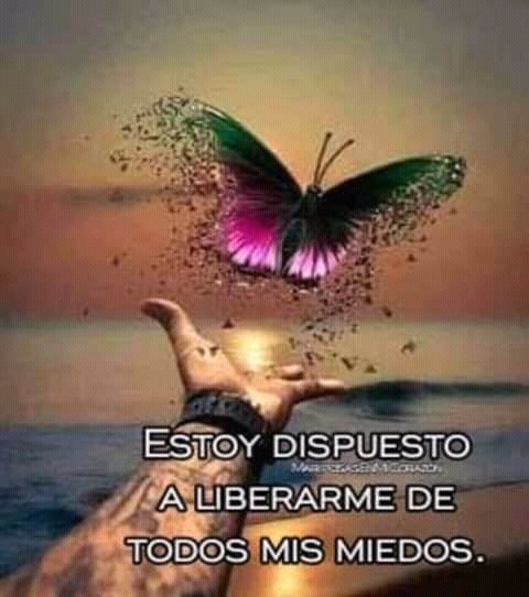 Nora Pina Ghazzaoui בטוויטר Buenas Noches Dios Bendiga Y Cuide