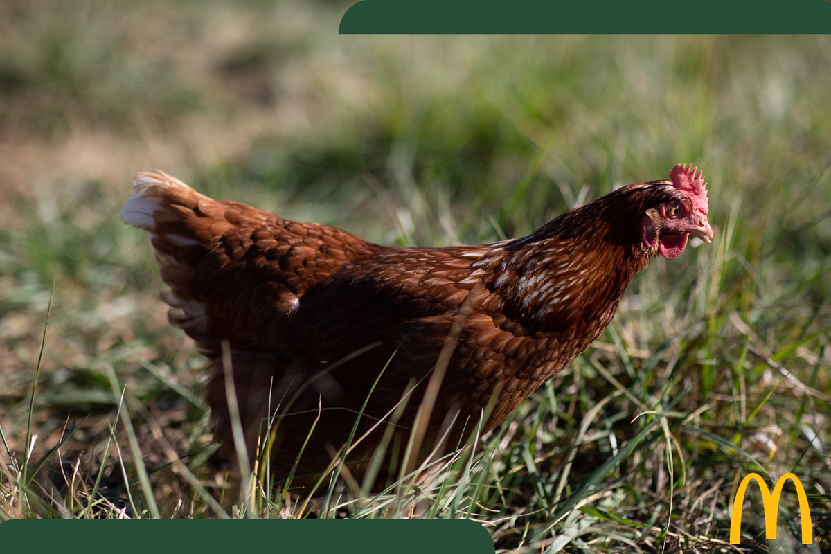 McDonald's France Newsroom tweet media