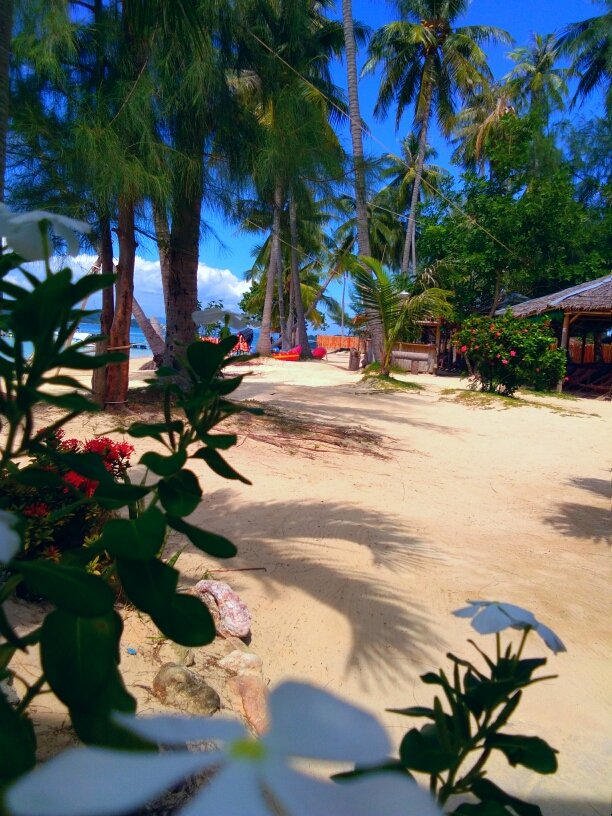 Ilovemyheart48's tweet image. จะทำอะไรก็ทำไปทำแล้วสบายใจก็พอ