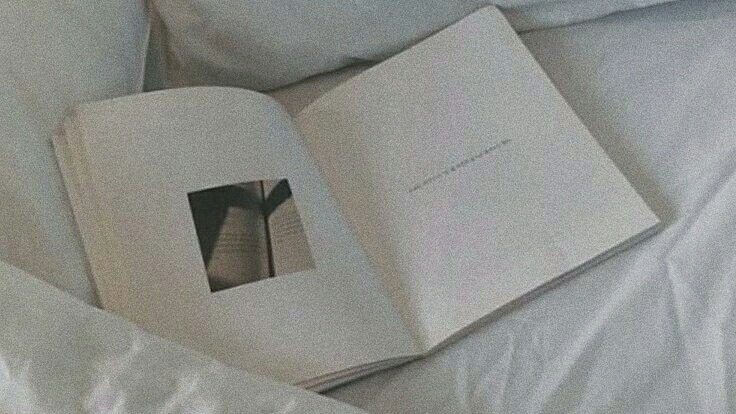 guk ϟ gyu tweet media