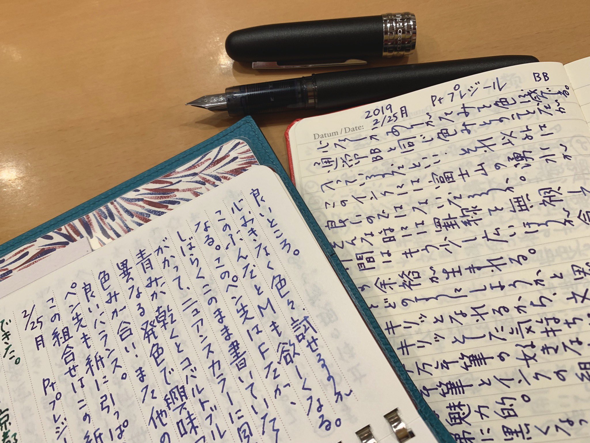 小日向 京 プラチナ万年筆 プレジール ブラックミスト F ブルーブラック富士 書き心地良い プラチナ万年筆のペン先に いくぶんとろみのある純正bbは合い ペン先の優れたところをより引き出してくれるように感じる 右はロイヒトトゥルムで左は