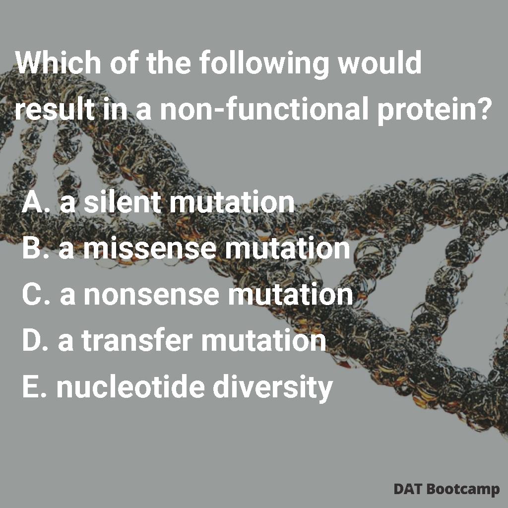 DATBootcamp's tweet photo. Here is Monday's #DAT question of the day!

#DATBootcamp #DAT #DATprep #Studying #DBC #Biology #Chemistry #Physics #Orgo #Notes #Predent #Dentistry #Questionoftheday #Dentalschool #PredentalStudent #Predentistry #sciencelabs #loveteeth #dentalexam #dentalstudentlife #studytime https://t.co/jN7f81RbK4