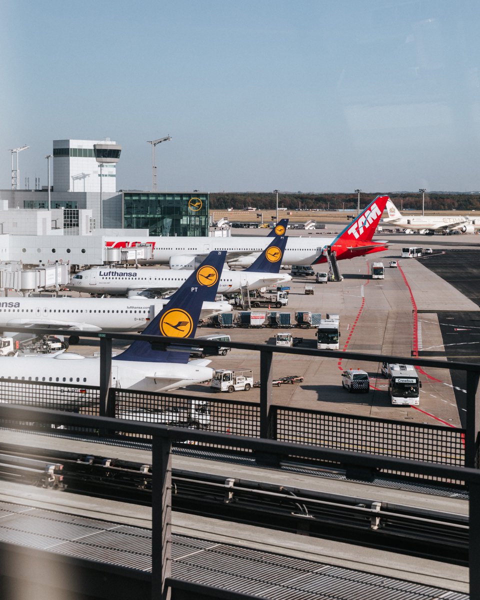 Hat almasu referat e