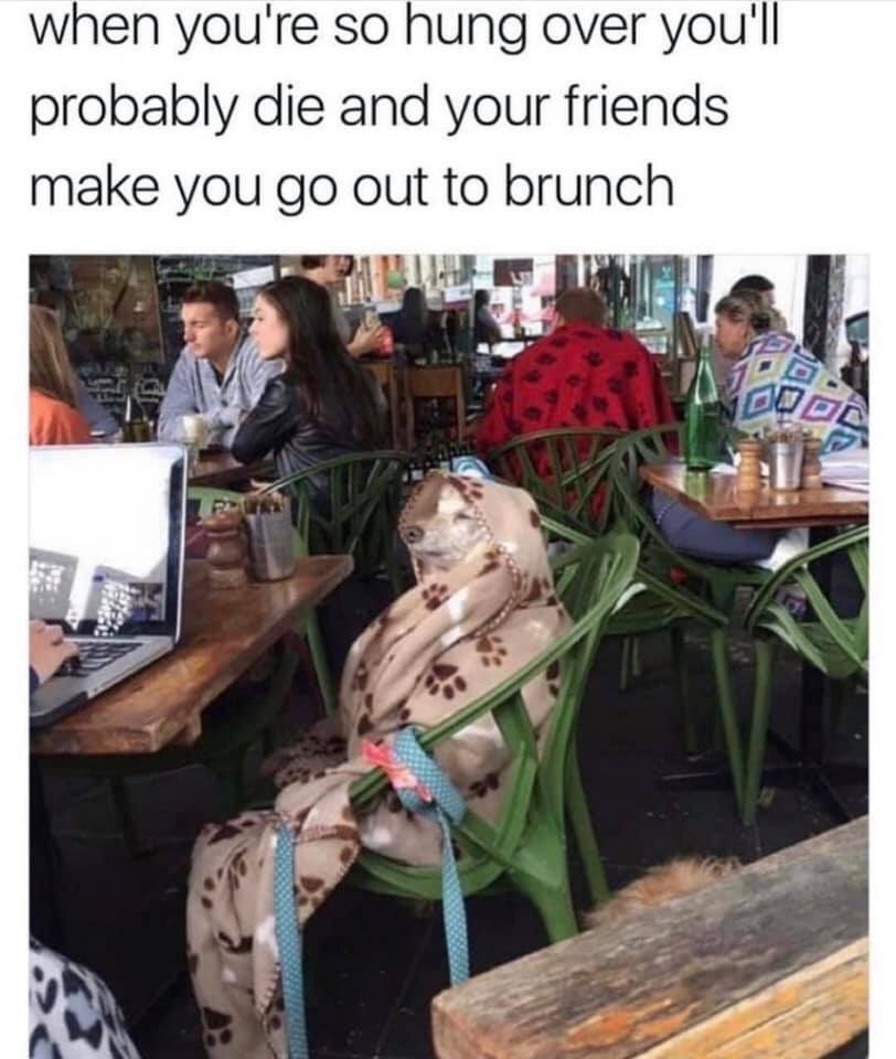 laurenntransuee's tweet photo. I feel this on a spiritual level https://t.co/IEYSd10D4T