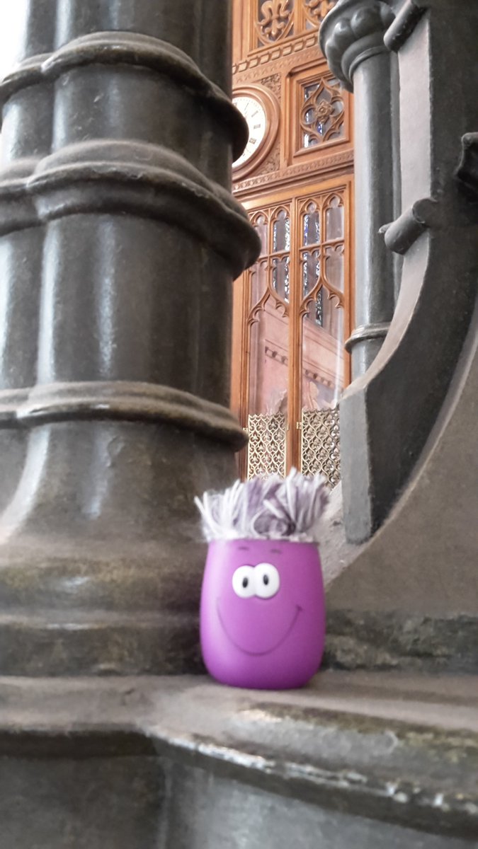 CJ_Fitzz's tweet photo. #HowieHero visits the Palace of Westminster to learn how are laws are made @HOW_College https://t.co/9yc6VzQ4YQ