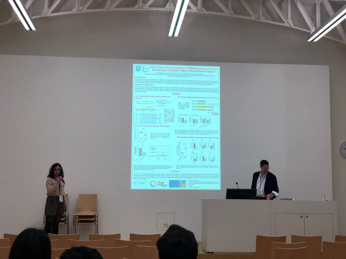 Laura MartínezCam tweet media