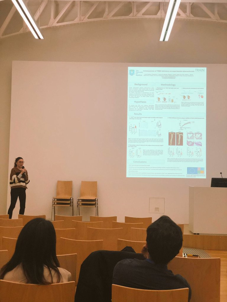 Laura MartínezCam tweet media