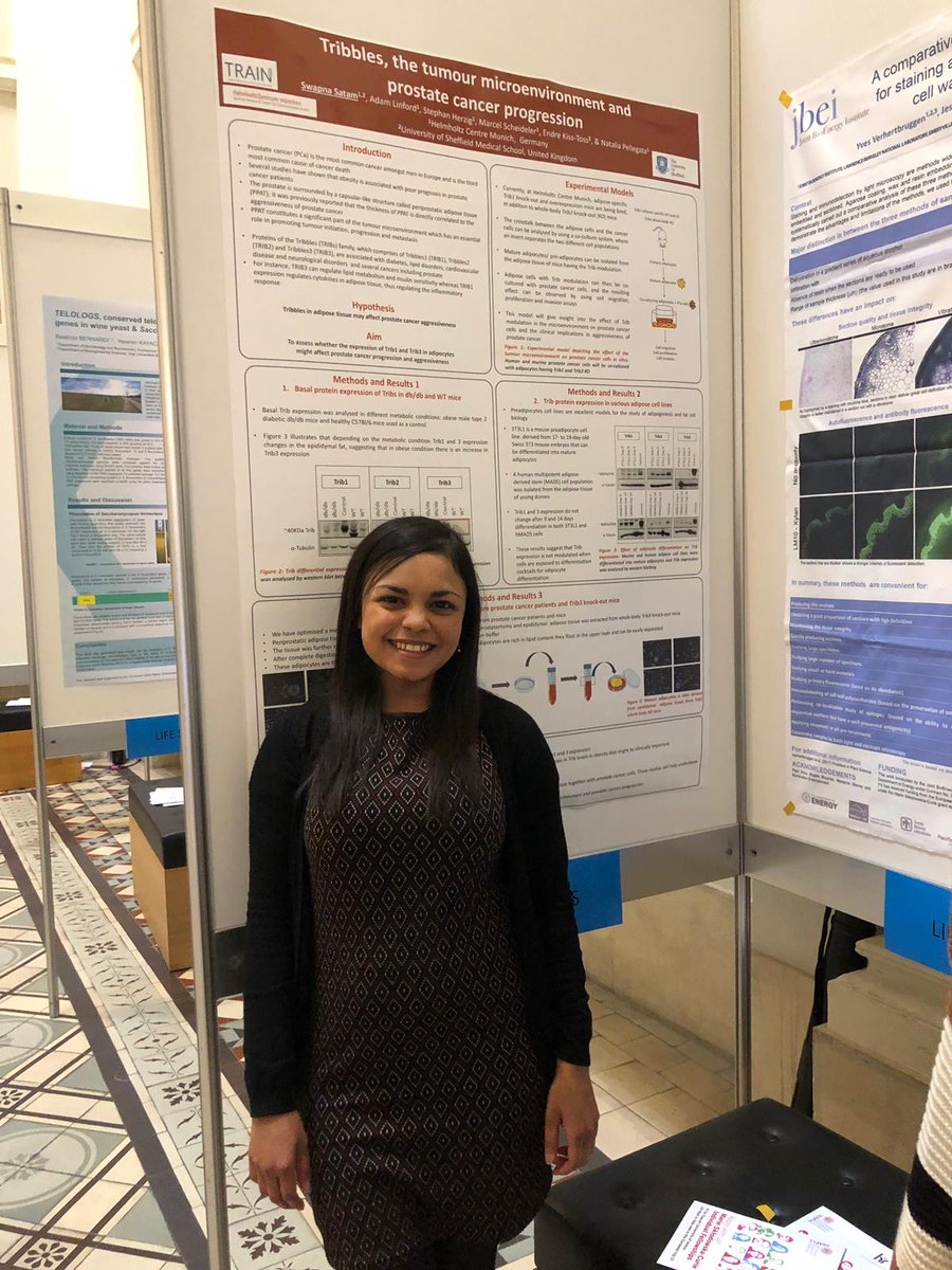 Laura MartínezCam tweet media