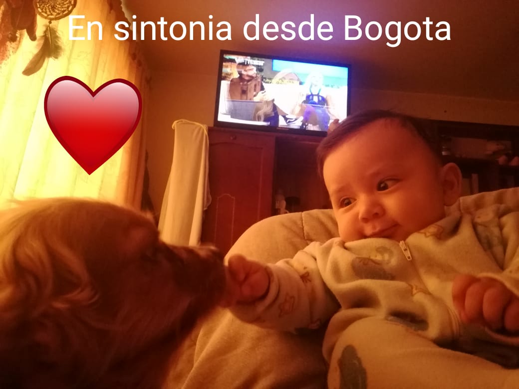 Martha  Rodriguez tweet media