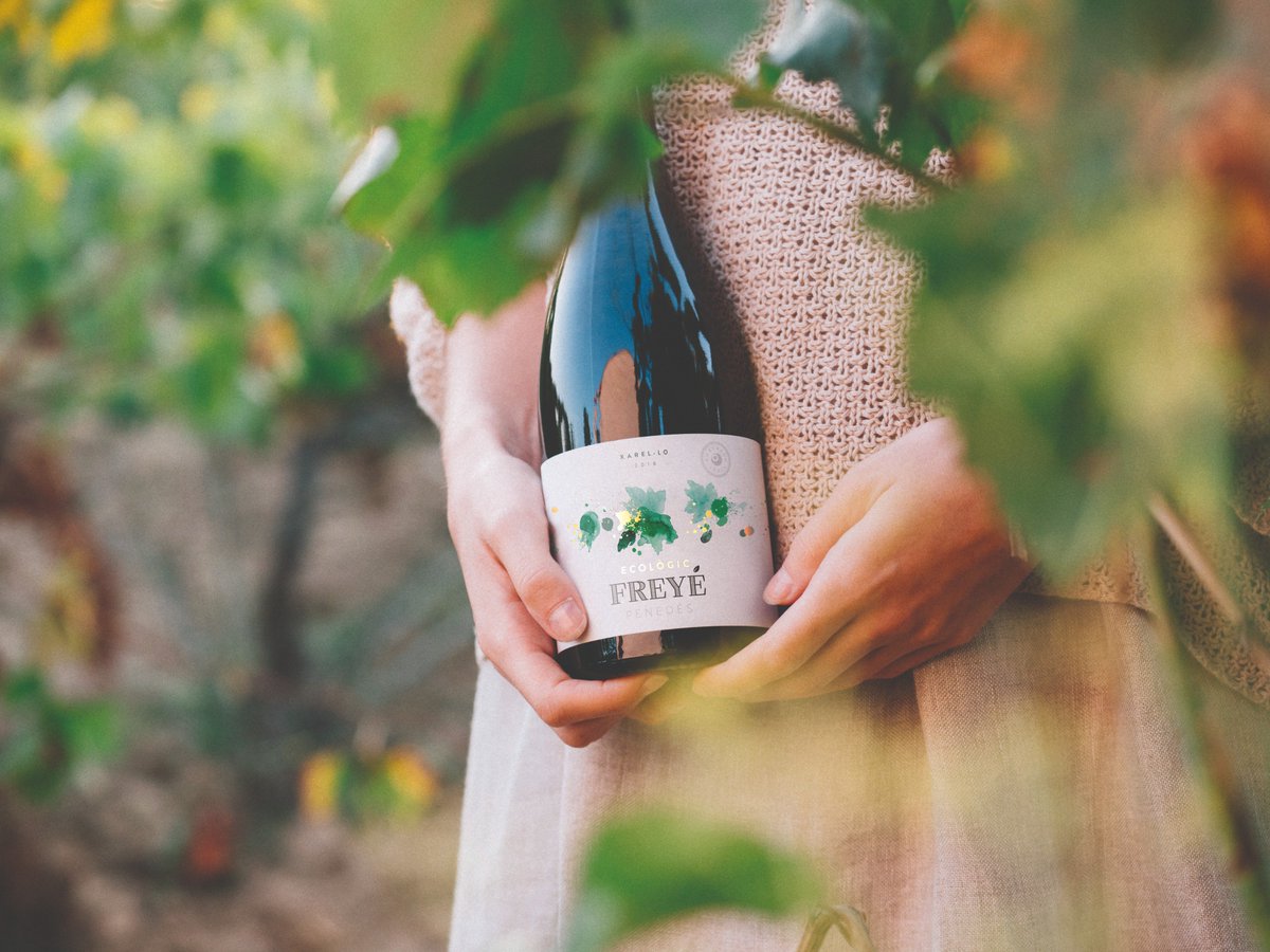 rtroyano's tweet photo. .@DomenechVidal estrena una nova gamma de vins ecològics. Freyé Xarel·lo Eco 2018 és el primer; aviat sortirà al mercat Freyé Syrah, Merlot i Garnatxa Negra Eco 2018 #vicatalà #ecologia #Penedès https://t.co/FBockBBGor