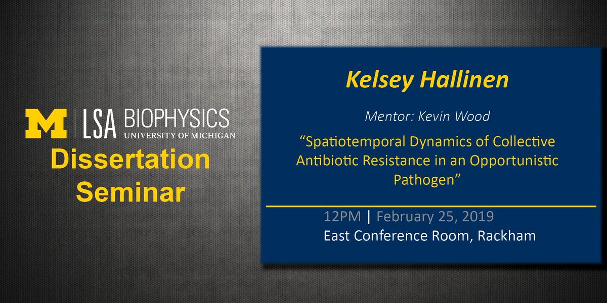 Join us TODAY at 12PM in the East Conference Room of Rackham for the Dissertation Seminar of Kelsey Hallinen (@kevinwood18 lab) presenting on “Spatiotemporal Dynamics of Collective Antibiotic Resistance in an Opportunistic Pathogen.”