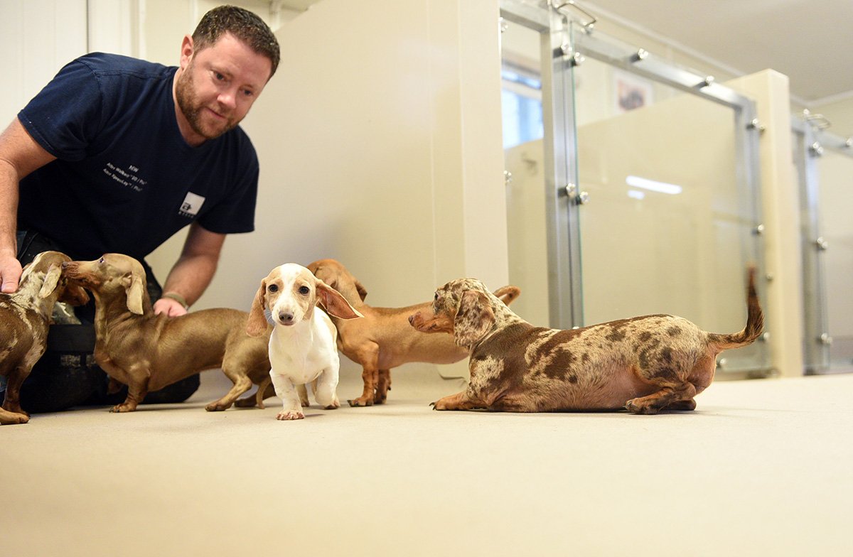 Our #adhesive-free floors look great with Altro walls…choose from our ranges of hygienic, design and wall protection products ow.ly/o91D50lnqEG