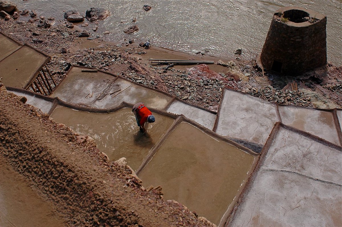 Jeff Fuchs tweet media