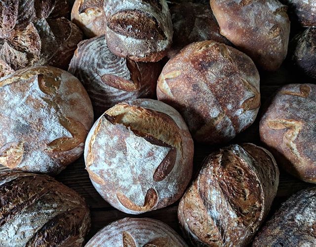 SuttonPoint's tweet image. Platissimo in Sutton is the only Micro Bakery you need for local, plant-based breads and confectioneries!

@plantissimo1