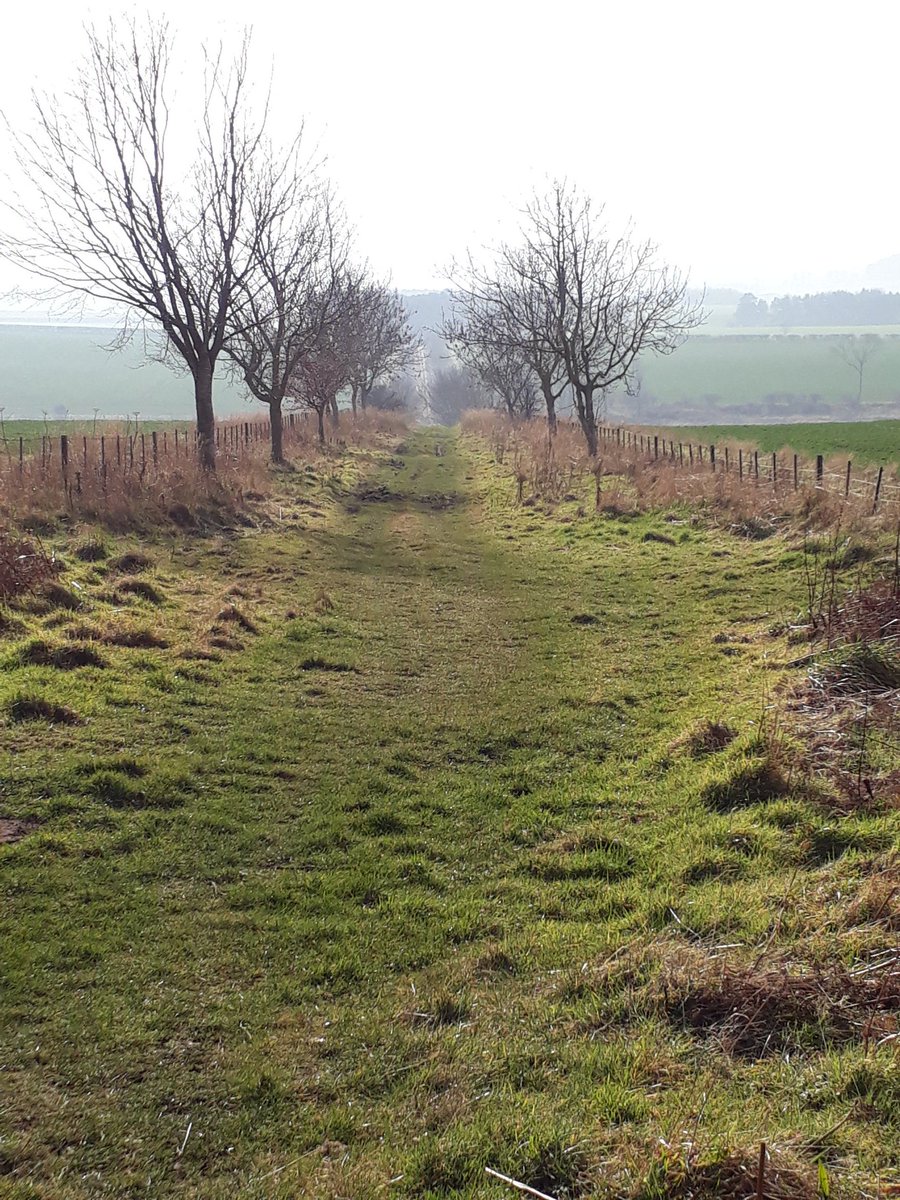 kvtr01's tweet photo. The path to victory...@krobson666
#SCWU https://t.co/H3FJZB2XVM