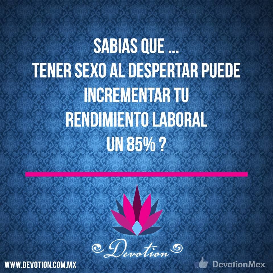 DevotionMex's tweet photo. Empecemos....
#DevotionMex #Sexo #Cultura #Erotismo https://t.co/PnZakWNWum