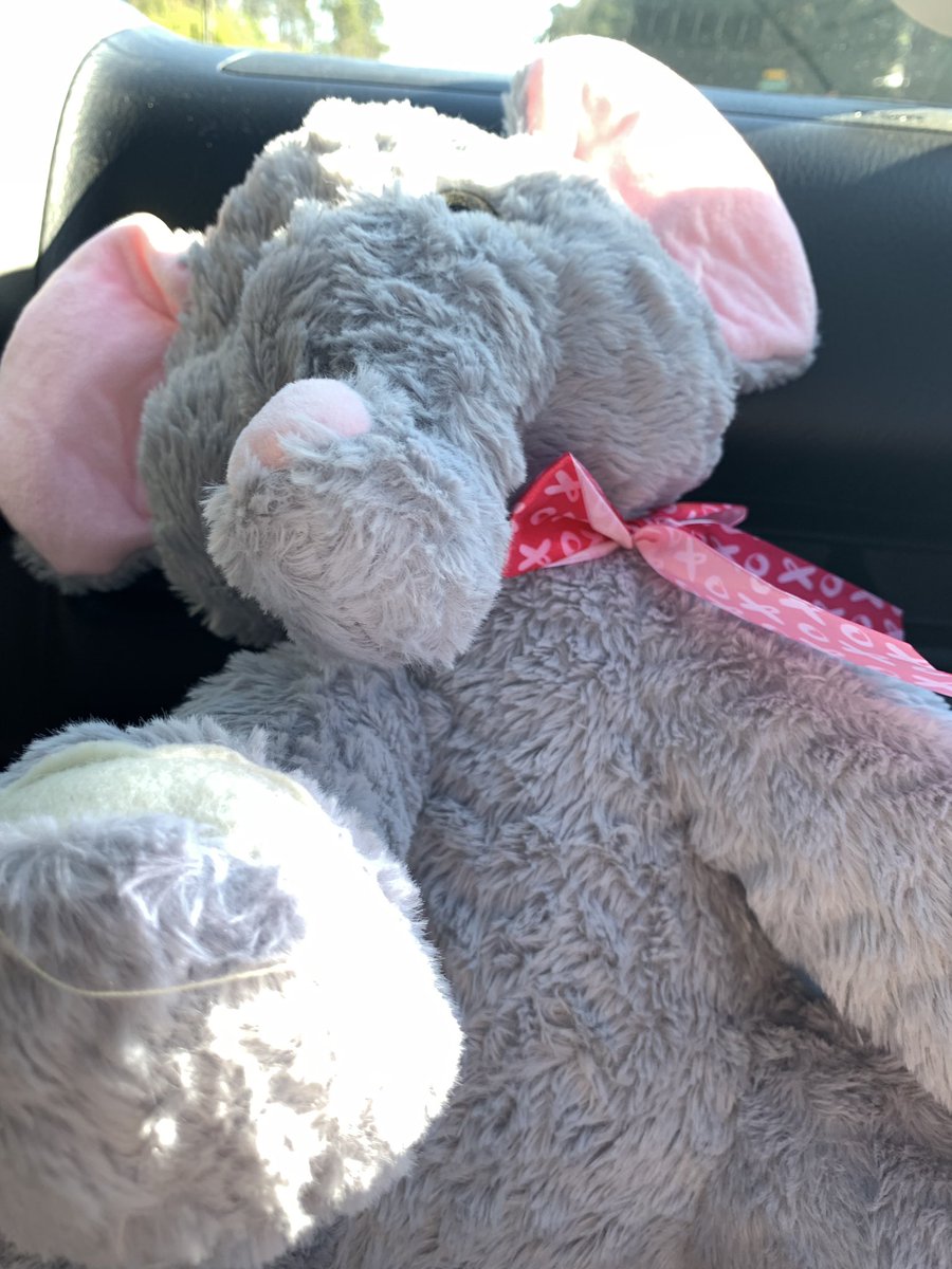 mixer_cimfamXO's tweet photo. on my way to the hospital for #gjtubesurgery #gastroparesiswarrior #gpfighter #spoonie #chronicillness #chronicallyfighting #chronicallyfabulous https://t.co/qUzIFraKAw