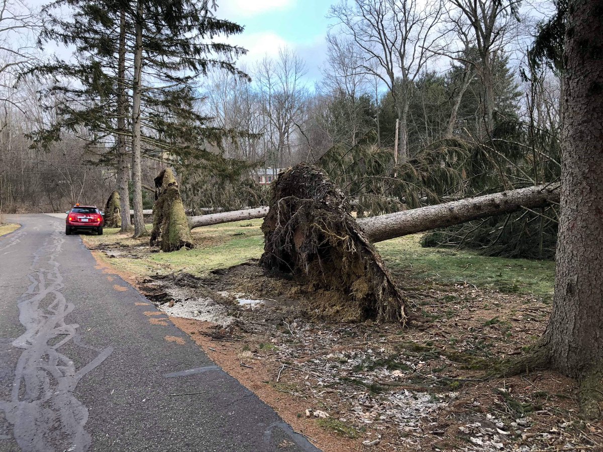 AlsoKnwnAsSnake's tweet photo. @cleveland19news @WEWS Three pines down on one property in Bath Township! 💨🌲🌲🌲 https://t.co/vkpfmZVQHI