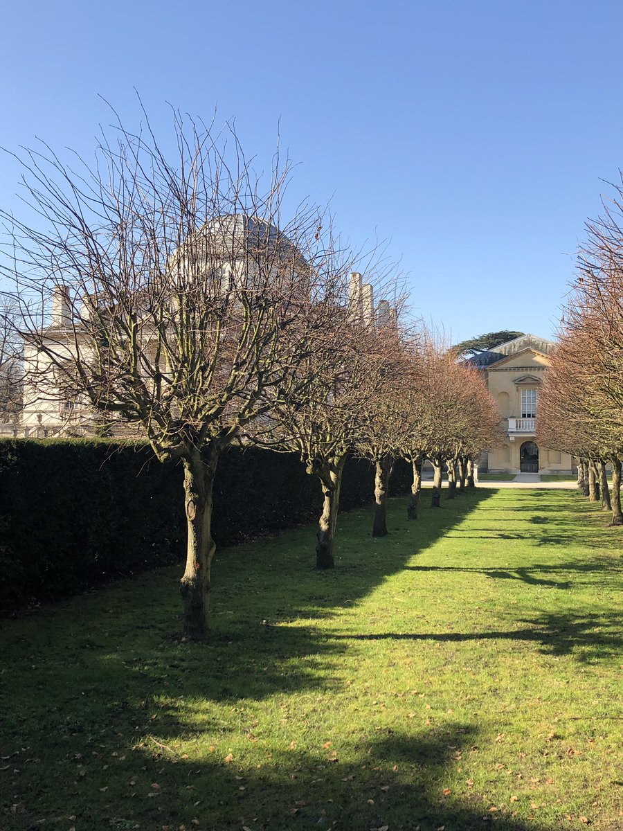 CJLeader68's tweet image. Sat in @Chiswick_House park, wearing a t shirt, drinking tea outside in the cafe but it’s also February people.... February - #globalwaming #summerinwinter