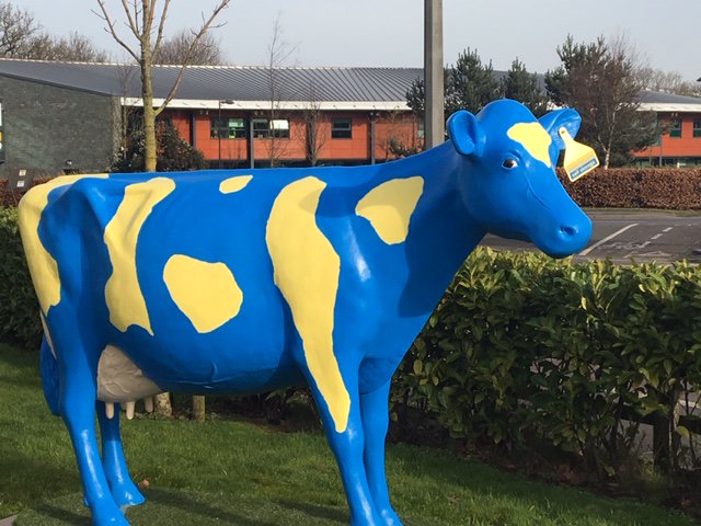 Storefirst_UK's tweet photo. Good afternoon @bizhour, how was your weekend? Please join us in welcoming a new member to the team! Let's hope she's just as fabulous at moooooo-ving customers in as our "udder" members of staff! #bizhour https://t.co/ik8jfEcQ2W