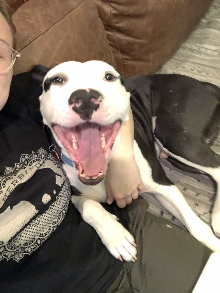 jollyjoana's tweet photo. @feelitkid You keep on keeping on- we’ll be over here with wide-jawed, huge smiles on our faces and good loving. Sorry you‘re dumb, but maybe that’s genetics 😏 https://t.co/JK0zoNzsLX