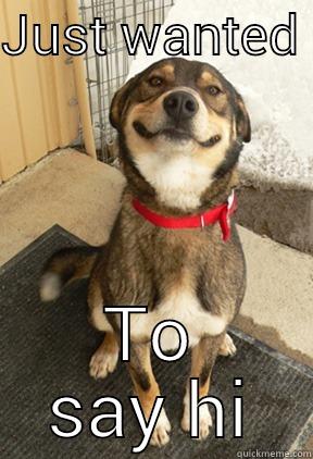 youngveterinary's tweet photo. Hi New followers! @Spicyandfriends @EndangeredDogs @Doglovelee @CoonOrange Check out our #Blog 👉 https://t.co/QYoW3q8w3H  👈 for free #PetCare top tips #WestLondon #Veterinary https://t.co/2Gl1pQEbdV