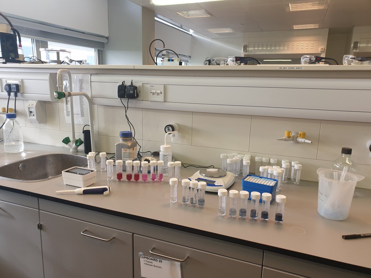 KerryAlice82's tweet image. When things finally go right in the lab #appliedpharmacology #honoursproject #laststep #QMU