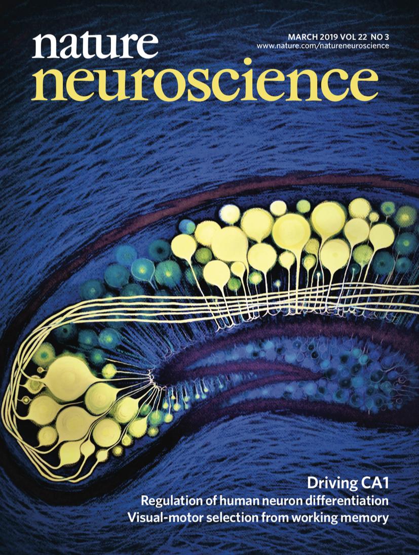 Nature Neuroscience on Twitter: "Our March issue is now https://t.co/dBrUgNEByn" / Twitter