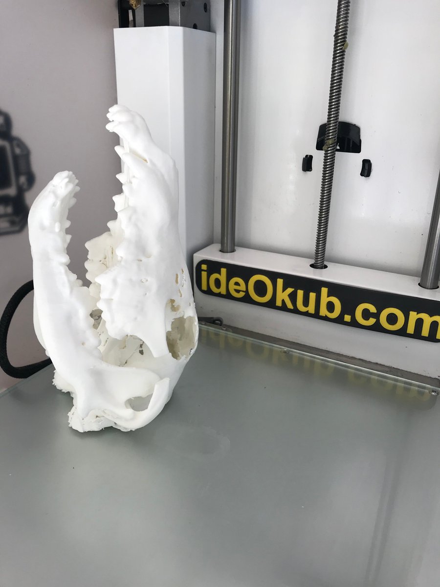 ideokub's tweet photo. Nous sommes très heureux d'avoir participé aux côtés de Clinique Vétérinaire Alliance à ce magnifique projet... était-il encore besoin de préciser comment l'impression 3D peut se rendre utile ! https://t.co/eJZOURg56z https://t.co/4QzkLYdlPq