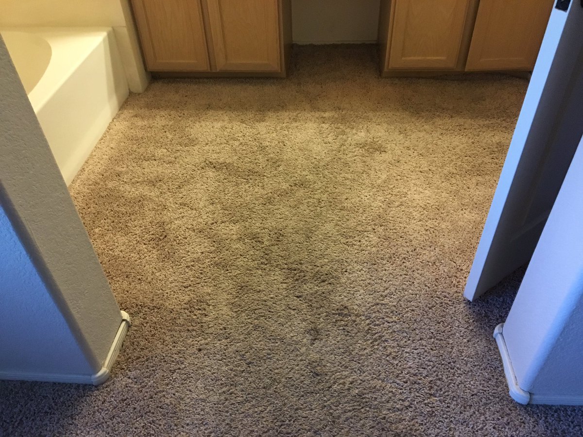 CardinlCarpetAZ's tweet photo. Cardinal Carpet Cleaning call today for details and a quote! (602)678-1536 #Carpetcleaning #Upholsterycleaning #Tilegroutcleaning #Rugcleaning #Schemmamarkup #Googlemybusiness https://t.co/kBhY5sFjhp