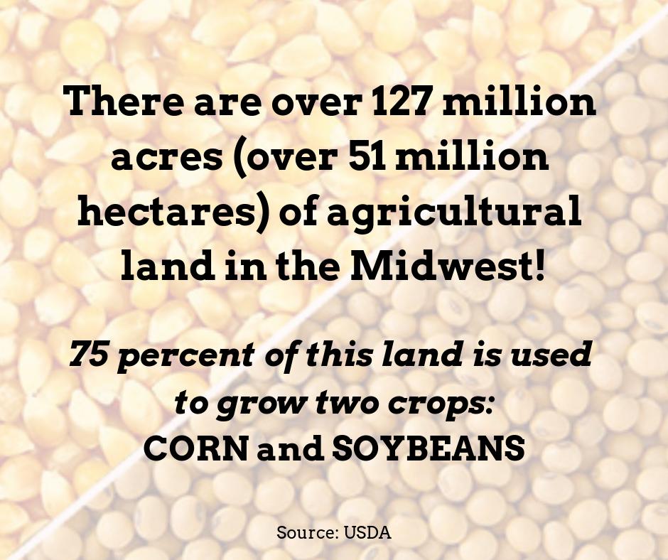 This year's congress takes place in Minneapolis, Minnesota- in the heart of the American Midwest. This area is also known as "The Corn Belt!" #IFAJ2019