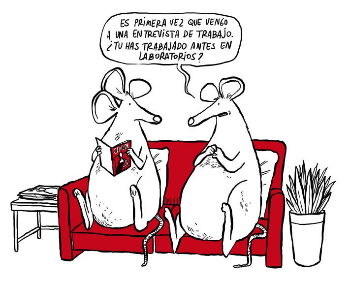 oleismos's tweet image. Ratitas #oleismo