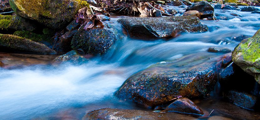 AmFisheriesSoc's tweet photo. Reminder - Wednesday 1:00 p.m. EST Webinar on WOTUS (#WaterRule): how it impacts you and how you can take action: https://t.co/U506Am4mh2 https://t.co/9MtYg8ddZH