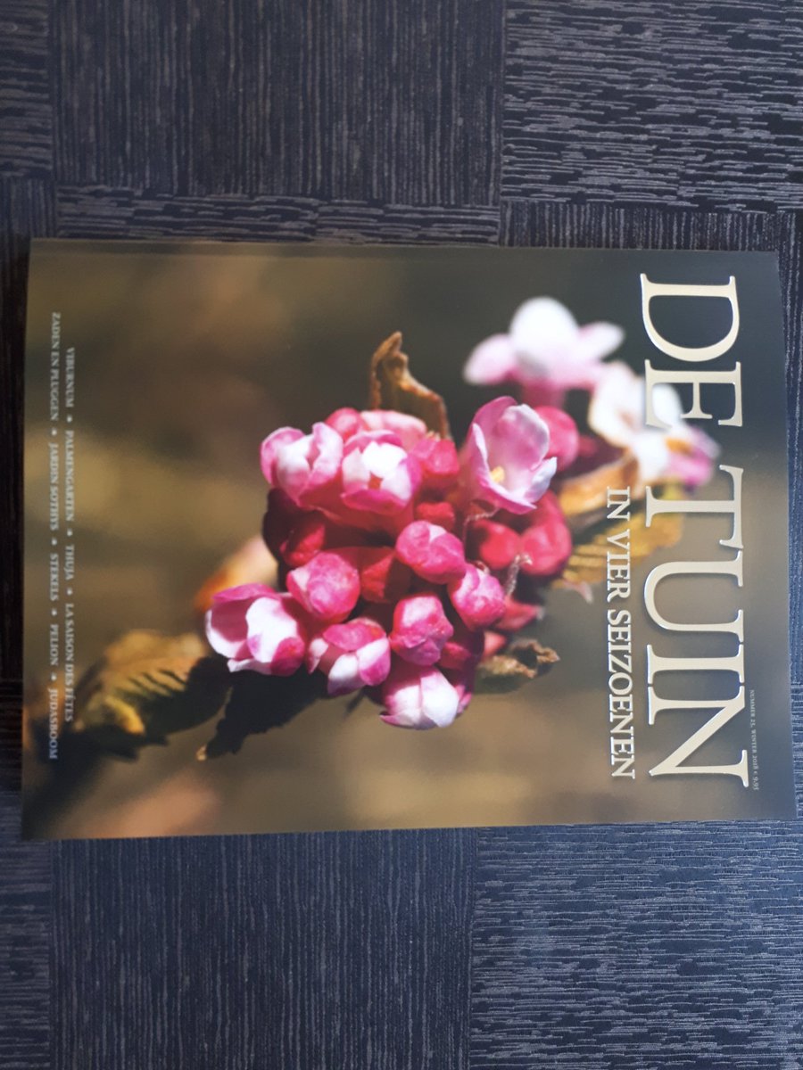 TenaxTreePlugs's tweet photo. Een prachtige reportage door Emiel van de Berg in het blad "De Tuin in 4 Siezoenen", nr 25, winter 2018. https://t.co/3qRxawCBt1